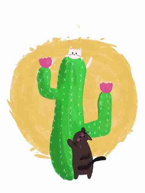 妻社官网标签新分类上线｜日常摩擦还原细分触达用户