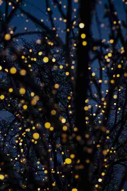 妻社官网热度飙升｜家庭情境演绎内容持续霸榜