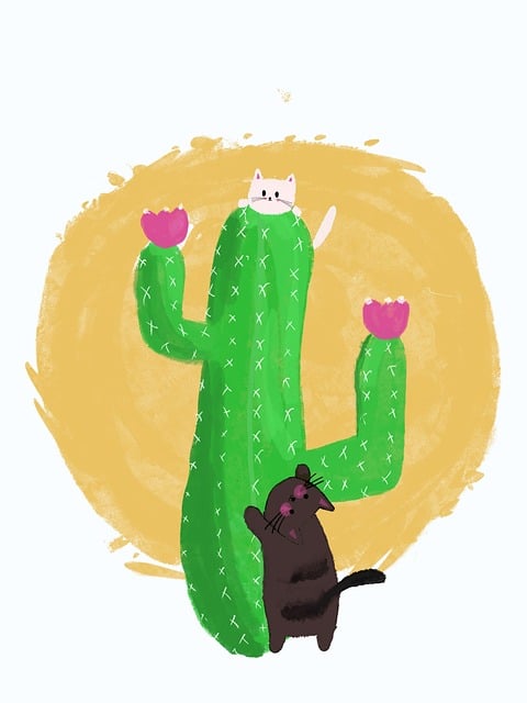 蘑菇视频专题上线｜用户偏好洞察背后的看点不容错过