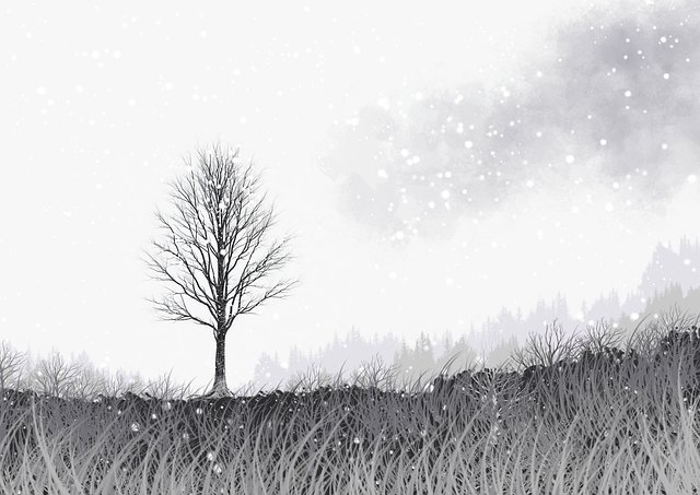 蘑菇视频站点导航实测|年度爆款整合入口路径全面盘点