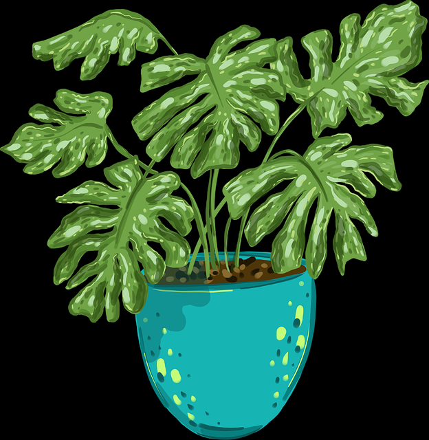 妻社系列内容突破以往|影像表达方式展示边界之美