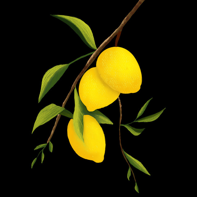 妻社官网内容全新改版|现实情侣演绎引领叙事新浪潮