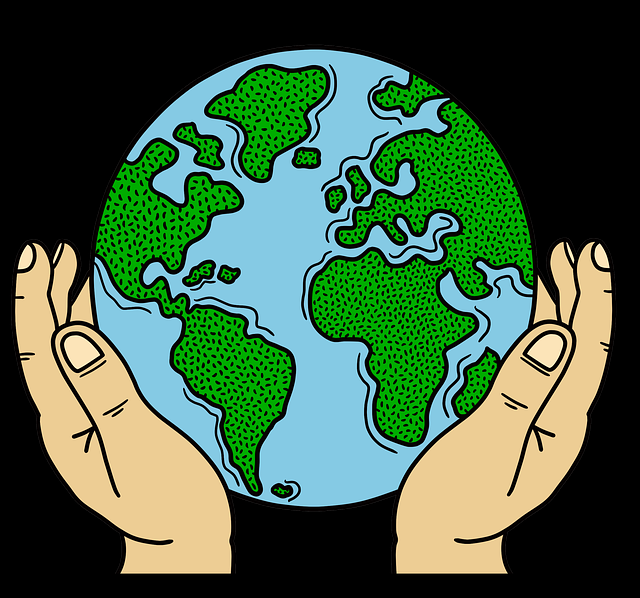 蘑菇影视在线观看板块划分变动|下载引导教程引发体验讨论